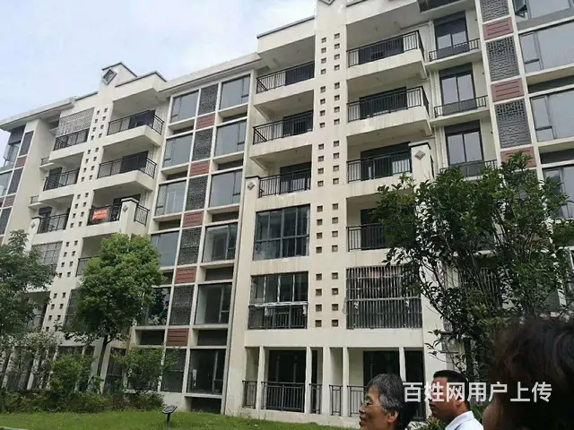 晥投水岸星城 湖景洋房 环境优美 自带幼儿园 - 图片 5