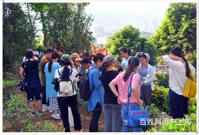 福州茶艺培训 - 图片 6