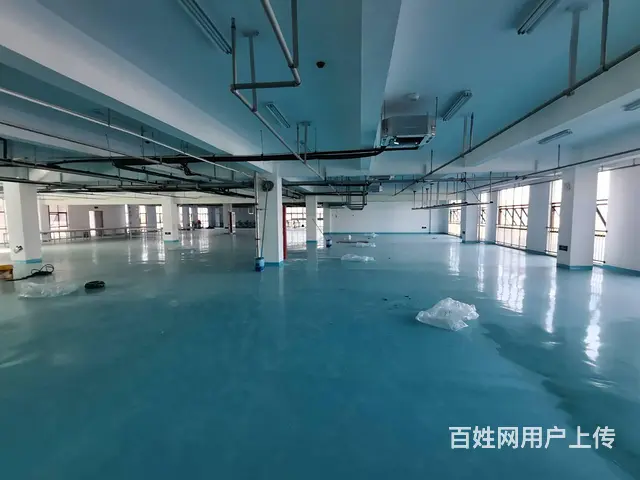 产业园办公场地出租，200平到2000平大小可分割，行业不限 - 图片 5