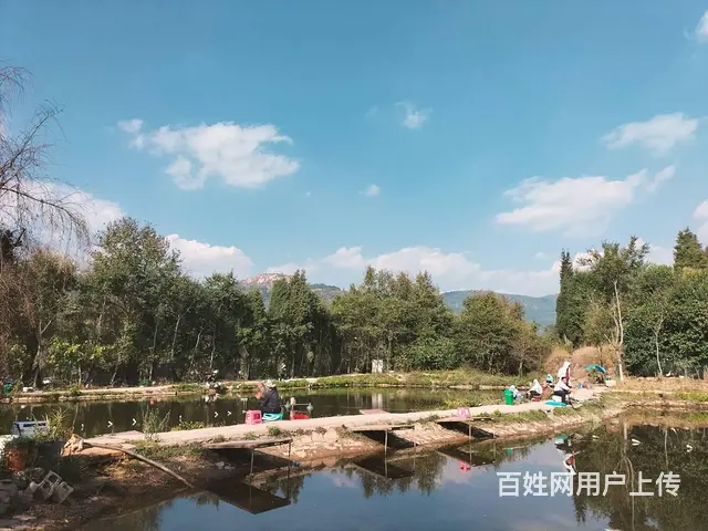 （51旺铺推荐）安宁5亩3个鱼塘转让 - 图片 5