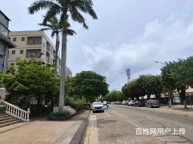 （51旺铺推荐）美兰区桂林洋旺洋路1700平铺面出租 - 图片 7