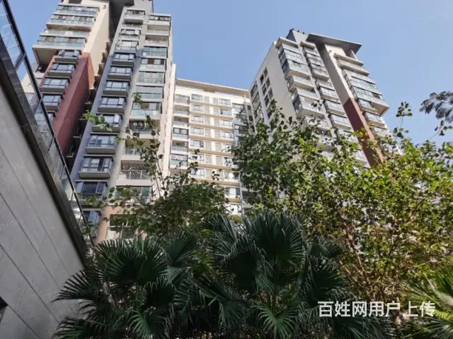 前山沃尔玛楼上 带小平台 招商花园城2期南北通精装三房 - 图片 10
