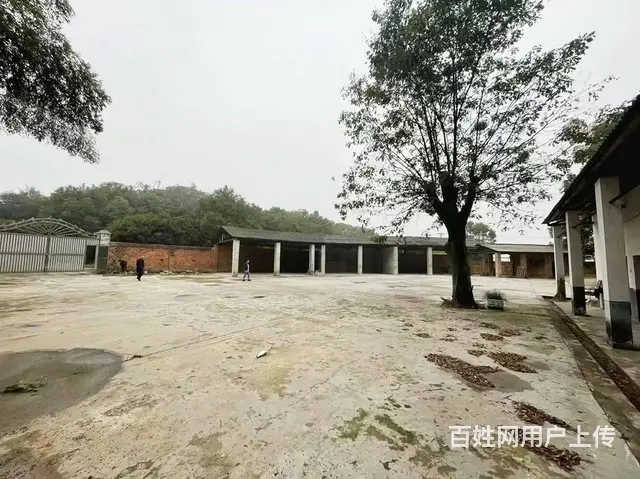 （老板本人）望城区独门独院厂房/仓库房东直租6758 - 图片 2