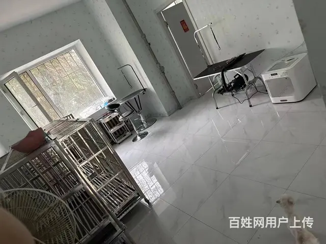 道里宠物店出兑 宠物用品商铺转让 - 图片 4