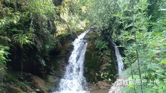 雅安芦山 一套木质农房求出租或合伙 - 图片 5