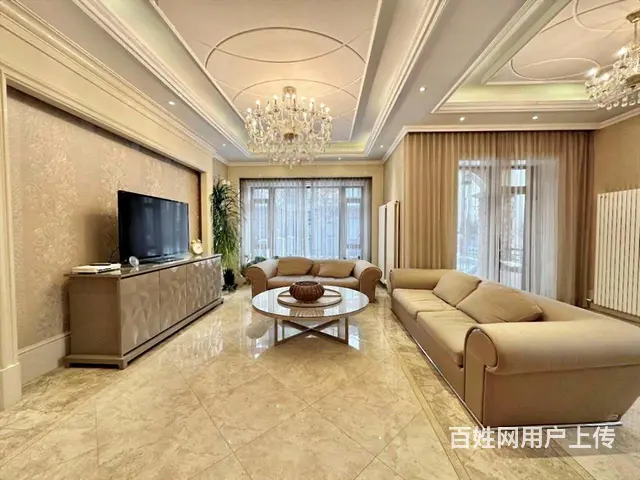 捡漏盛和天下双拼别墅 使用580米 大花园 带双车位978w - 图片 11