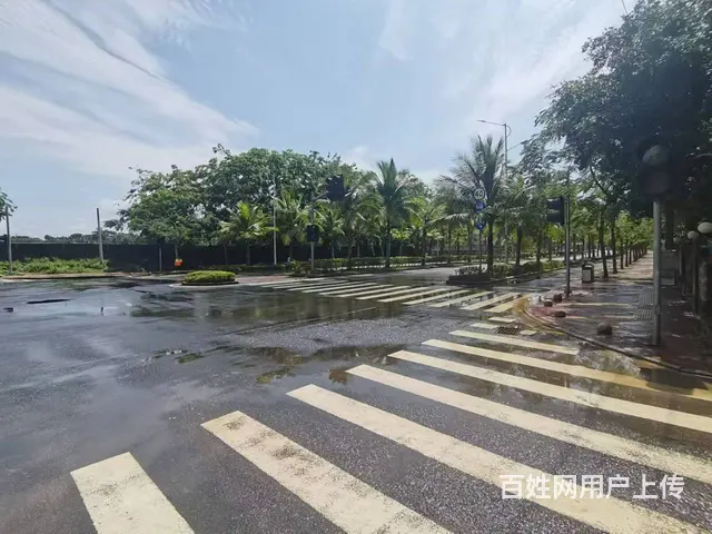 （51旺铺推荐）文昌市清中路3196平整栋招租 - 图片 4