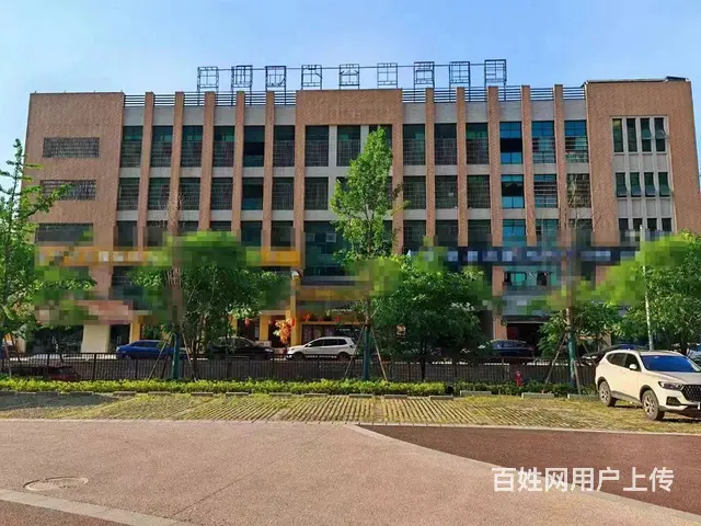 （优推）房东直租，洞井铺成熟小区出入口临街门面旺铺出租 - 图片 9