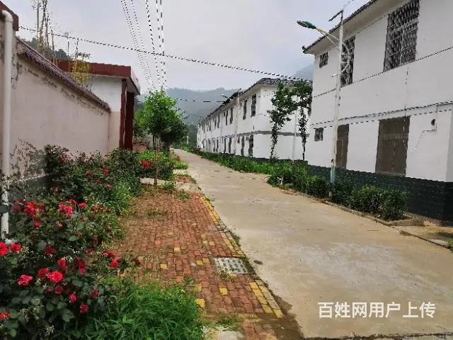 生态农家独院出售 - 图片 7