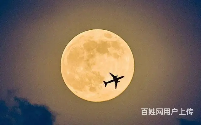 航空公司搭建智能呼叫中心客服系统提升旅客服务体验 - 图片