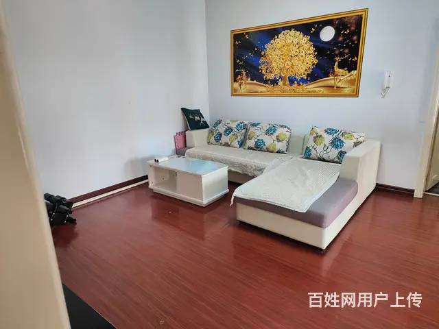 站前商贸局家属楼出租 - 图片 1