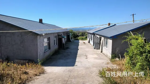 鹤岗市兴安区老俊德猪场出卖 - 图片 2