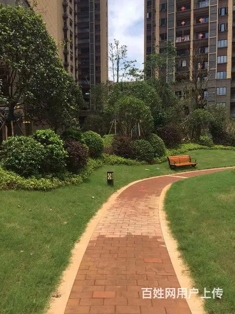 书院路碧沙湖地铁口附近，家电齐全，小区环境好，新小 - 图片 12