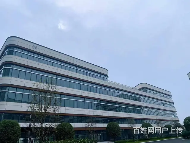 高新西区厂房出租、生产、研发、办公、分层独栋 - 图片 4