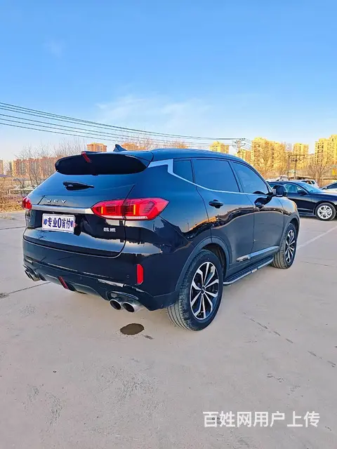 WEY VV6 2020款 2.0T 双离合 两驱智悦+ - 图片 5
