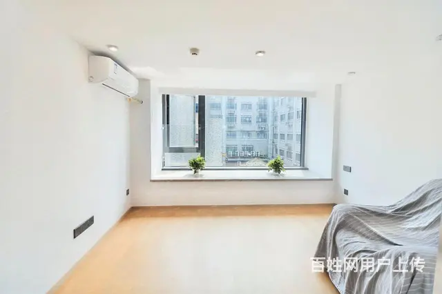绿城青亭 新交付loft 精装修双钥匙公寓 诚心卖 - 图片 5