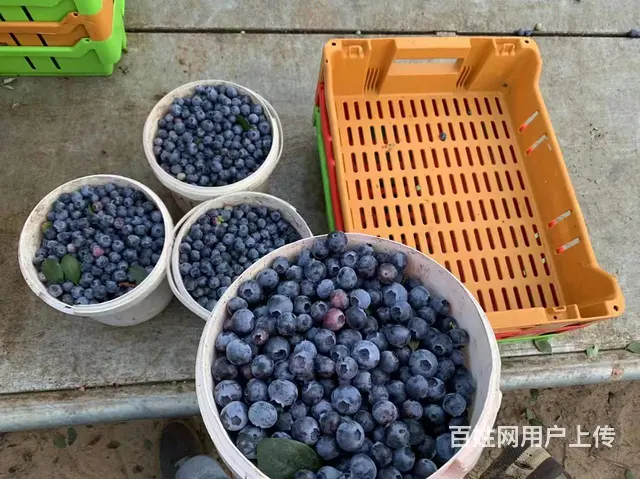大同出国打工以色列大量招工建筑工厂农场雇主保签 - 图片 7