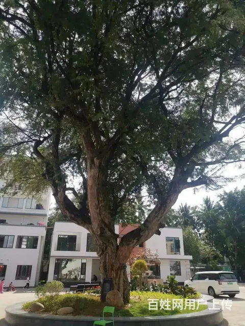 （51旺铺推荐）凤凰路500平办公室出租 - 图片 11