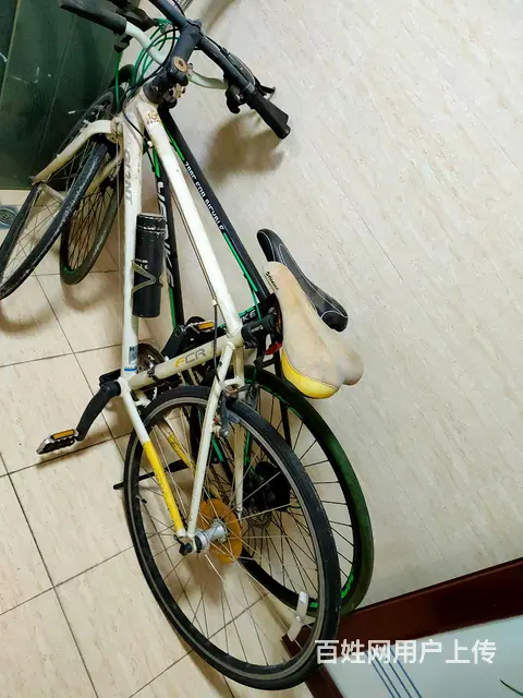 捷安特与达士奇（免充气轮胎）两辆变速自行车 - 图片 1
