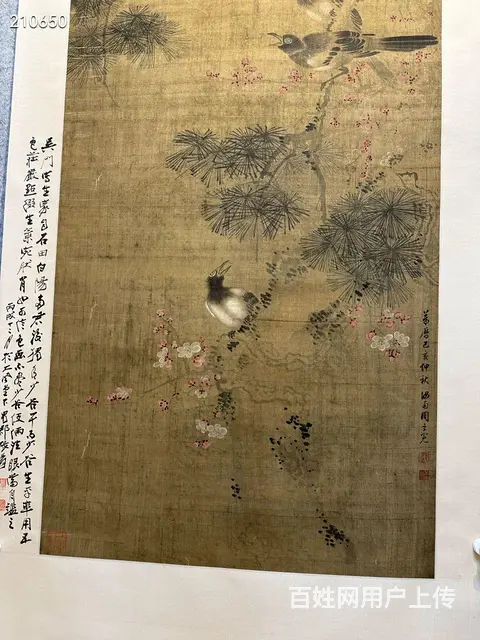 周之冕《松寿图》绢本立軸，画心尺寸66.5/154 - 图片 4