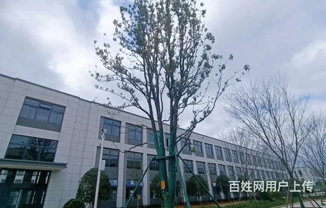 企业选址 独栋产品 一栋一企业 按揭3成起  50年产权 - 图片 10