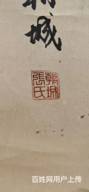 国色牡丹 - 图片 3