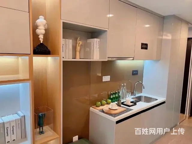 拎包入住红梅公园朝南精装现房花园洋房首付15万起毛坯精装 - 图片 2