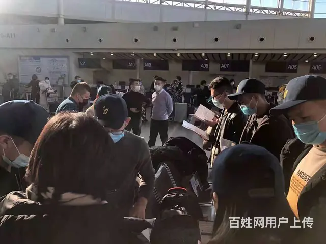 双鸭山出国务工- 爱尔兰劳务签证- 工作签证备案 - 图片 1