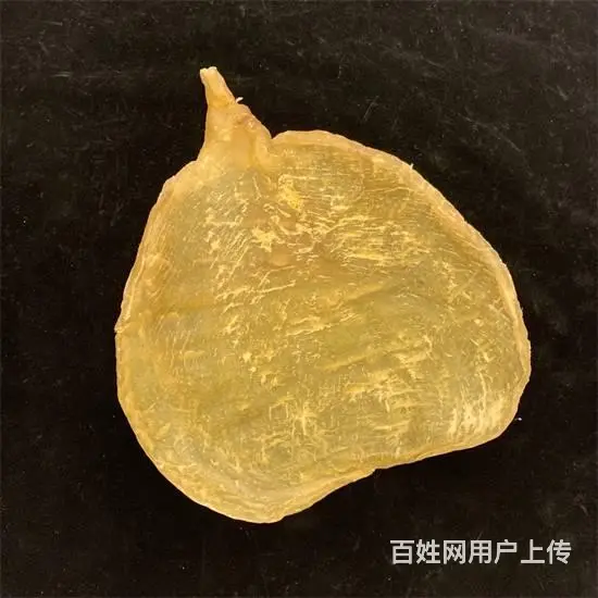 中牟回收各种年份茅台酒价格涨涨涨 - 图片 1