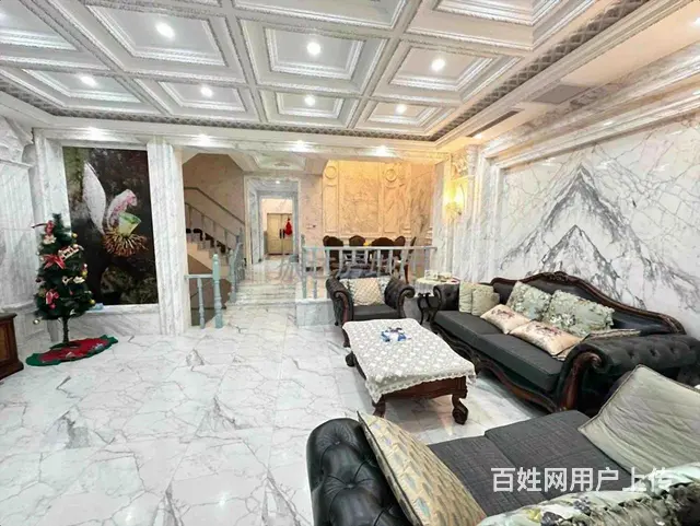 公园里的别墅 现代轻奢豪装共 挑空设计 双车位使用550 - 图片 4