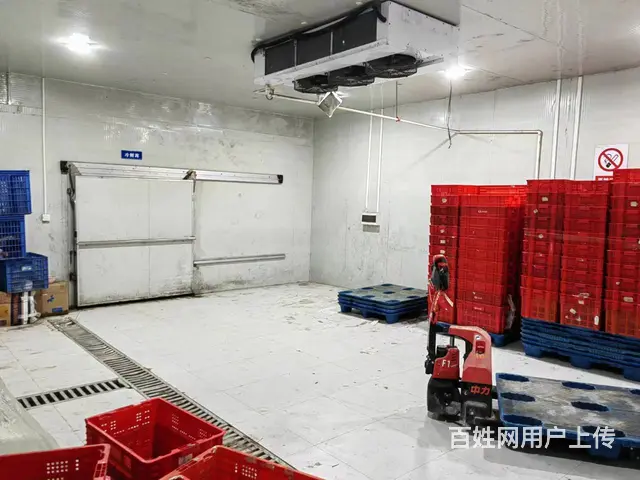 （老板本人）开福区白霞村独栋房屋➕冷库出租  5775 - 图片 5