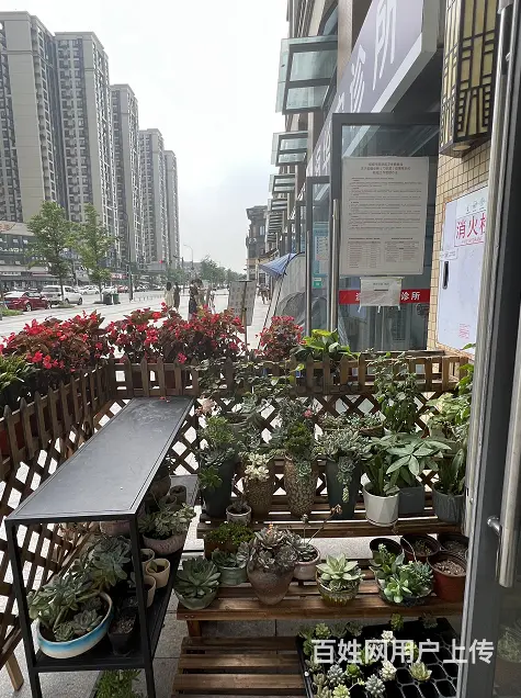 XSY 几十栋高档社区环绕底商旺铺可空转 - 图片 2