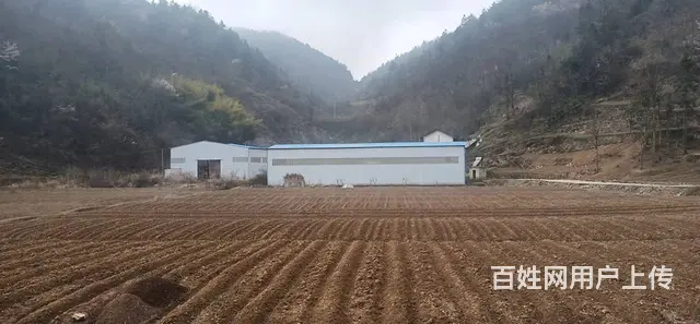 自有厂房合作，出租，出售 - 图片