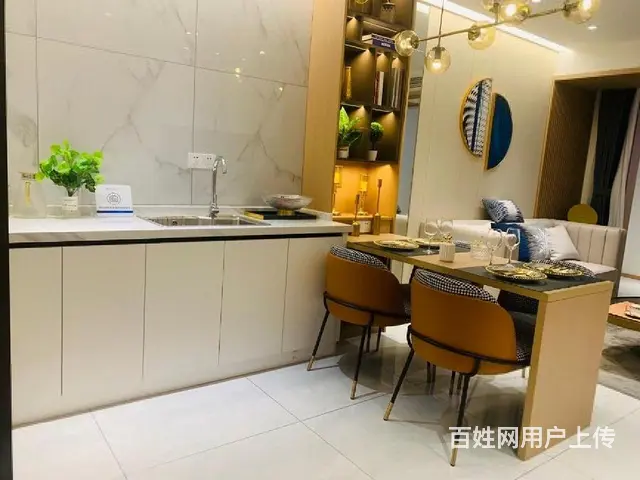 急售环球港旁复试挑高公寓单价9999起准现房民用水电落地窗 - 图片 6