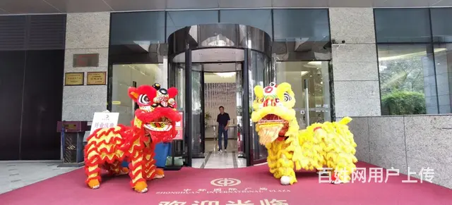 海口开业庆典舞龙舞狮点睛开业舞狮表演活动 - 图片 6