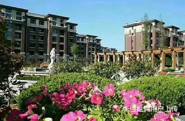 威海石岛凤凰湖，与恒大为邻的一线海景房赶海拾贝度假 - 图片 10