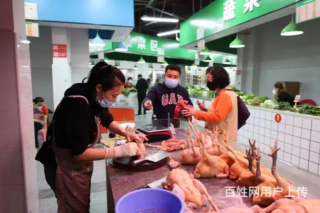 （51旺铺推荐）金鸡岭东岸农贸市场摊位底商出租 - 图片 7