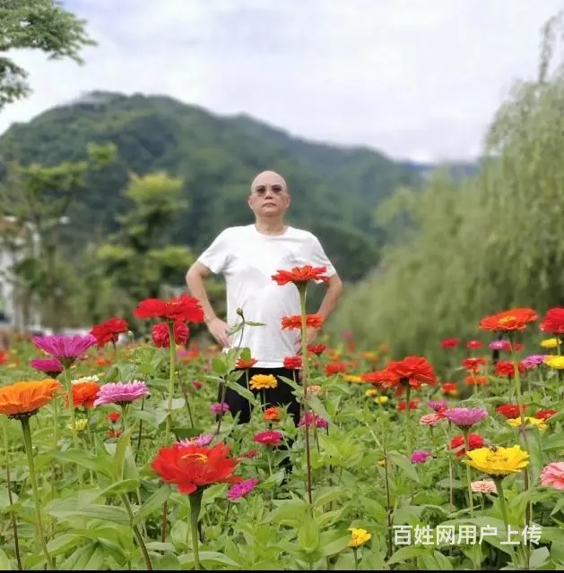 证婚 - 图片 11