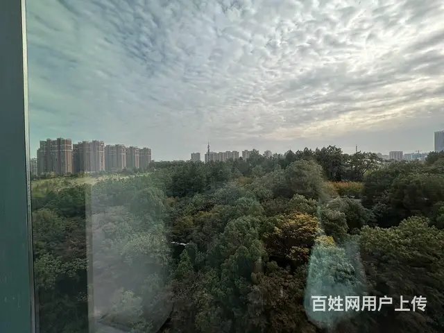 （老板本人）雨花区京武中心甲级精装修写字楼出租  5657 - 图片 12