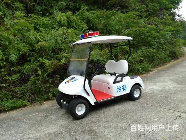 大量巡逻车，电动观光车出售 - 图片 6