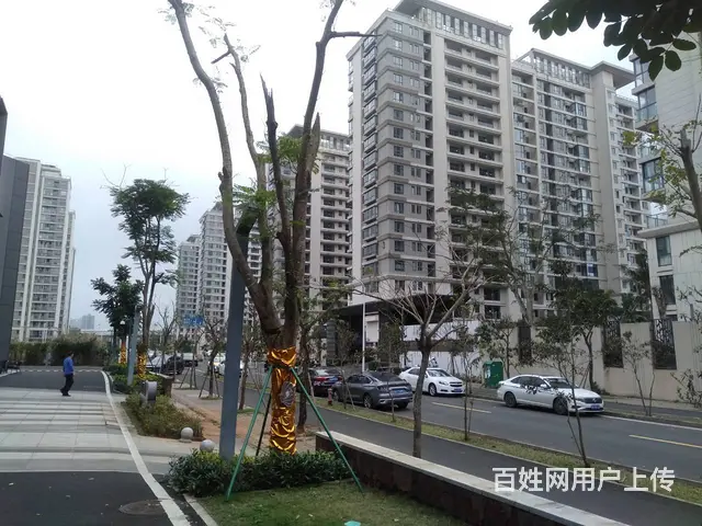 （51旺铺推荐）秀英长流韶阳街32平生鲜便利店转让 - 图片 10