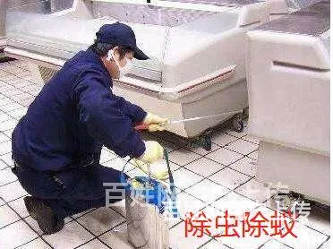宿州萧县保洁公司，除虫除蚂蚁，保洁阿姨，十大保洁公司哪家好 - 图片 4