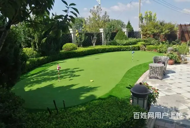 专业冲砂人造高尔夫果岭  人造果岭 仿真果岭 - 图片 1