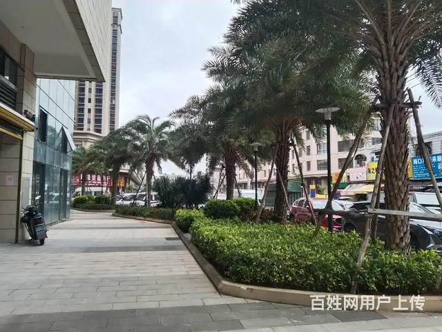 （51旺铺推荐）滨海新业华庭一楼临街铺面50平出租 - 图片 8