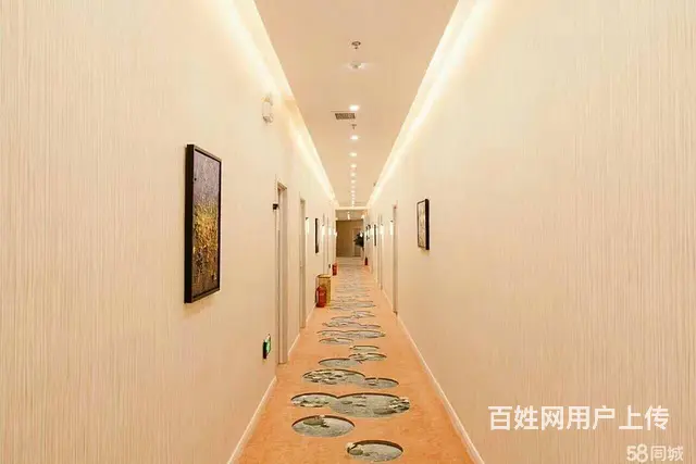 【搞定了！】都市时讯 免费介绍海亮明珠知名酒店整体 - 图片 6