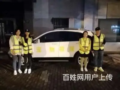 常州猫猫跳楼了怎么办，找寻宠宠物救援队 - 图片 2