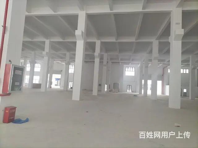 嘉善全新厂房2000平，高度8米，可以注塑和五金机械 - 图片 3