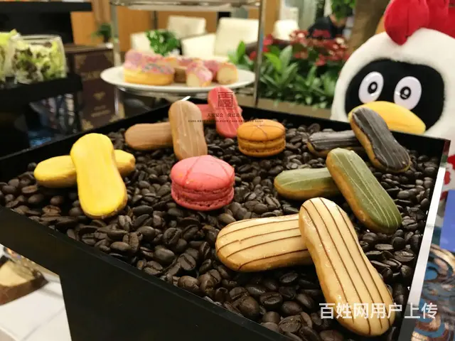 公司宴会外卖/冷餐图片/楼盘发布会酒会/会务茶歇 - 图片 9