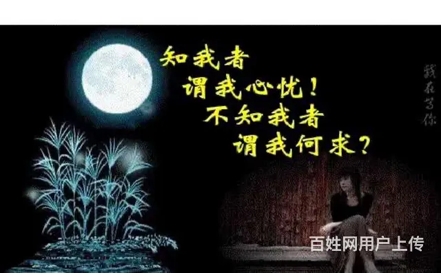 诚信征婚 - 图片