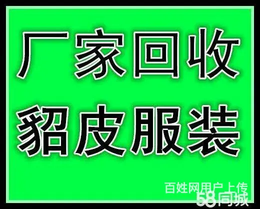 秦皇岛回收貂皮的秦皇岛收皮草的秦皇岛收貂皮的 - 图片